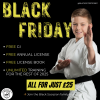 Black Friday Martial Arts Starter Offer – Only £25